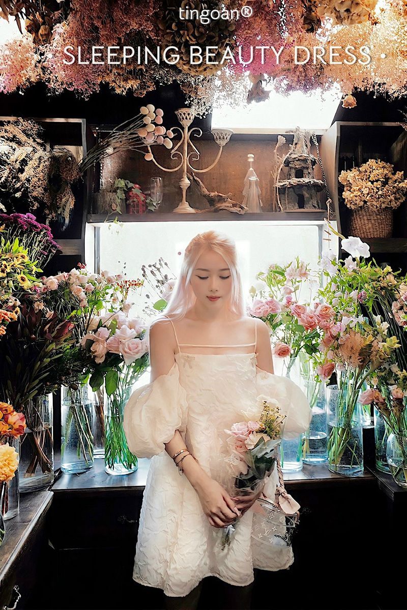 SLEEPING BEAUTY DRESS/WH