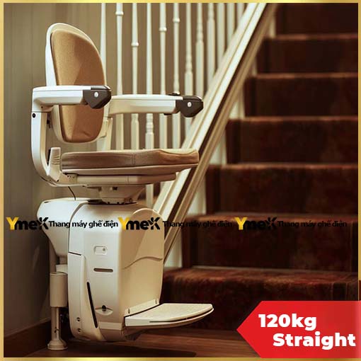 ghế nâng điện thang bộ 160KG