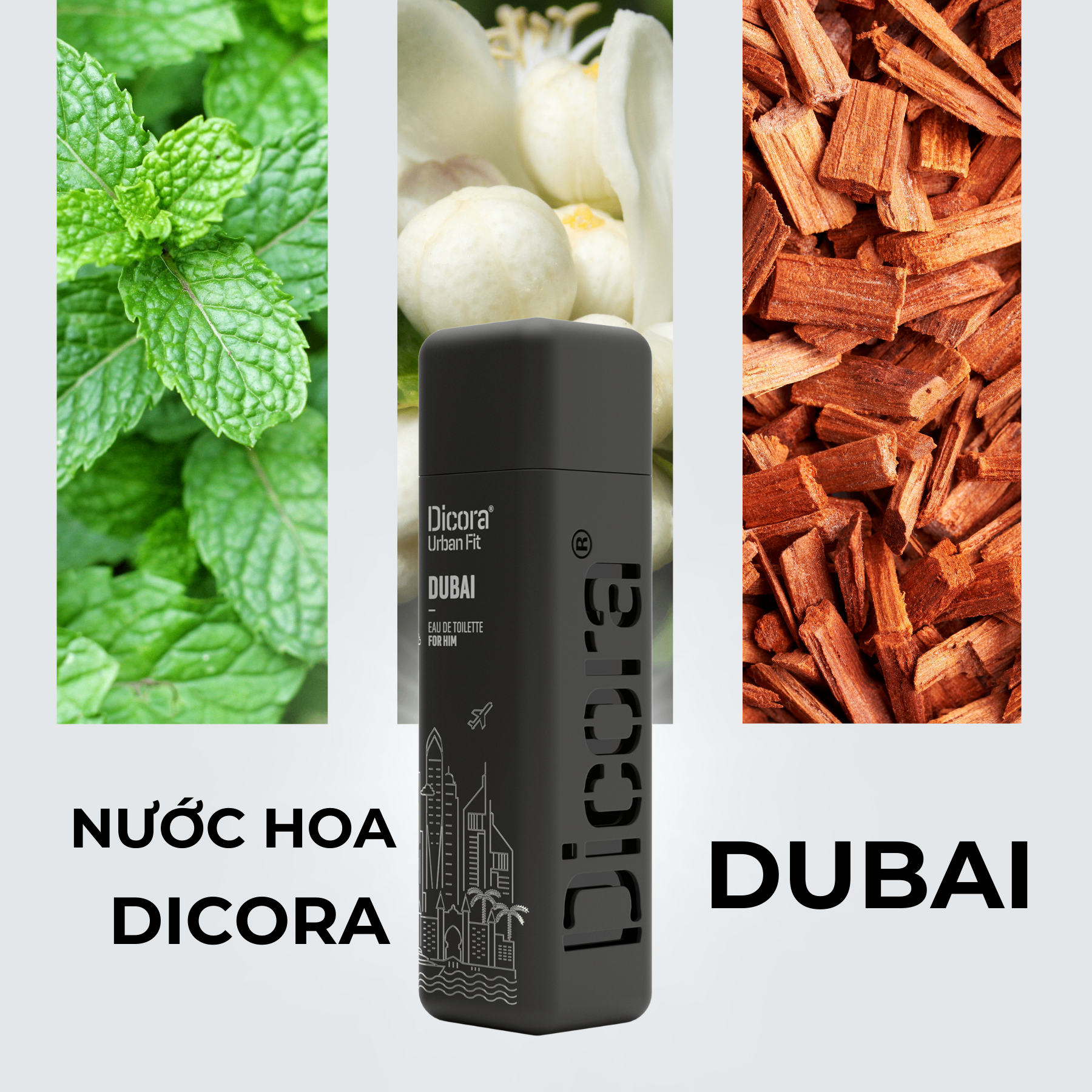 Dicora Urban Fit Dicora UF EDT Dubai / Dicora Nuớc hoa Dubai
