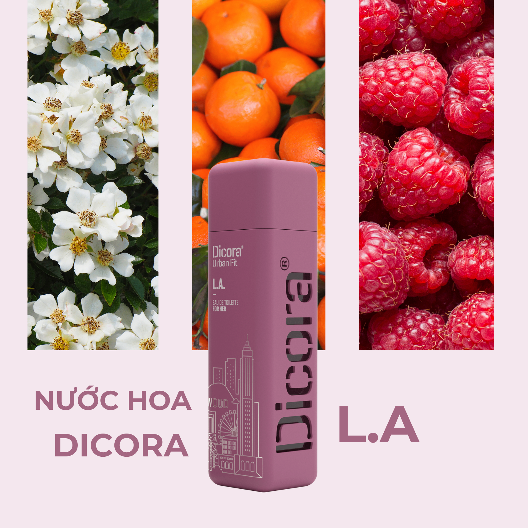 Dicora Urban Fit Dicora UF EDT LA / Dicora Nuớc hoa LA 