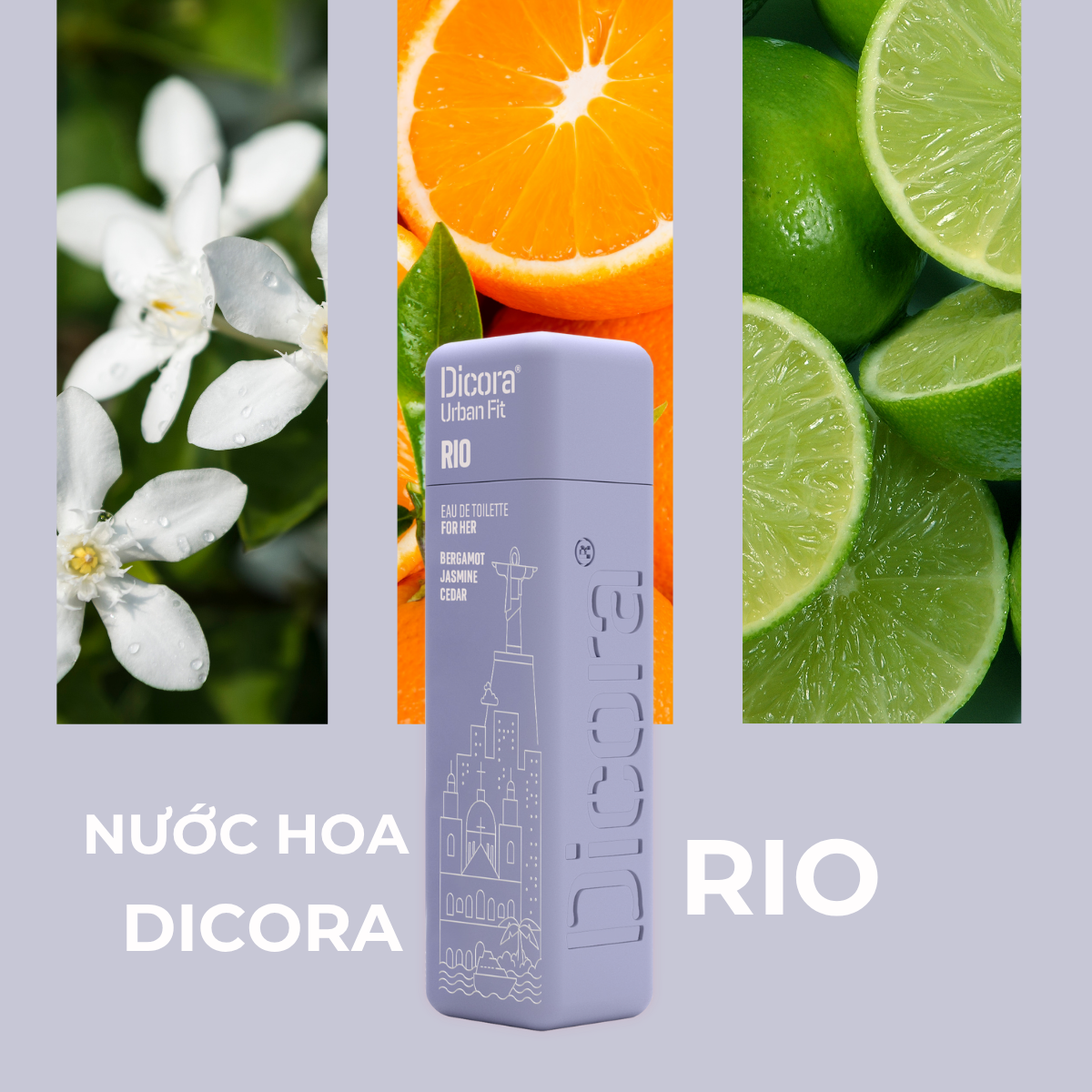 Dicora Urban Fit Dicora UF EDT Rio / Dicora Nuớc hoa Rio