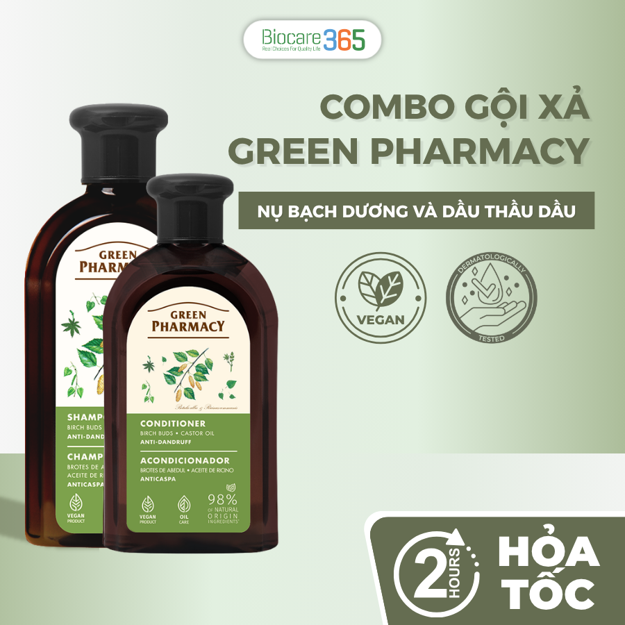 Green Pharmacy Combo Gội xả trị gàu "Nụ bạch dương và dầu thầu dầu"