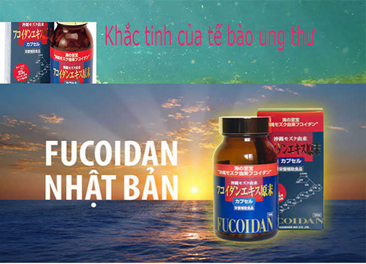 tảo đỏ fucoidan khắc tinh của tế bào ung thư