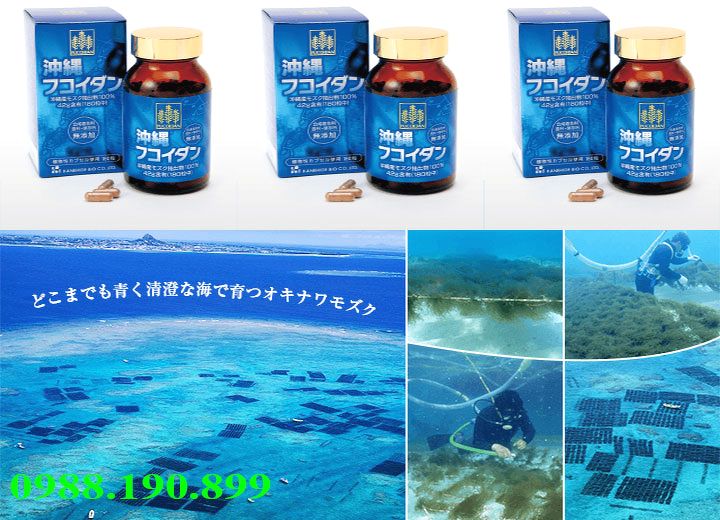 Siêu tảo Fucoidan OKINAWA 180 viên hỗ trợ và tiêu diệt tế bào ung thư