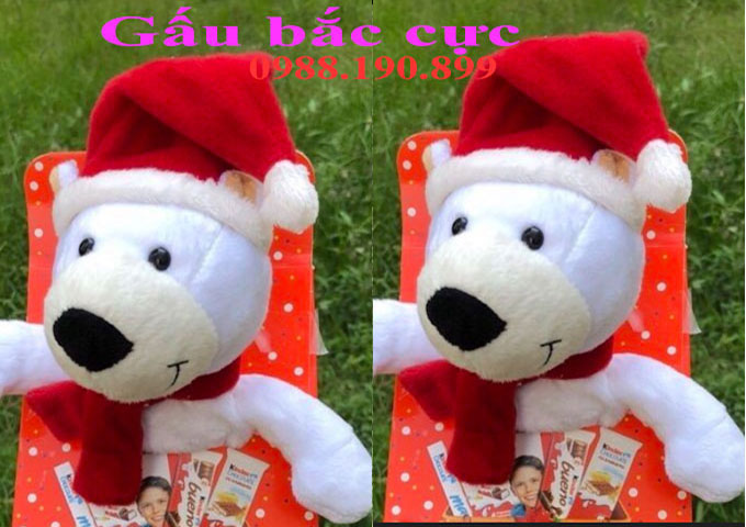 Kinder mix gấu bắc cực