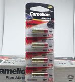 Pin Camelion 12V