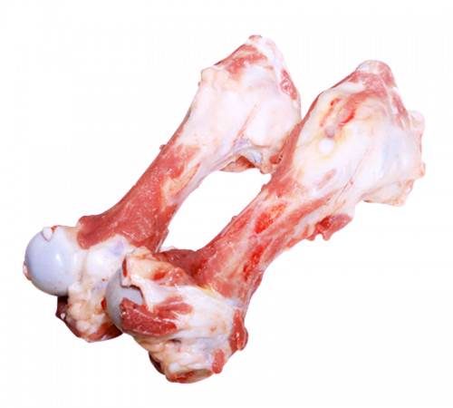 Xương ống