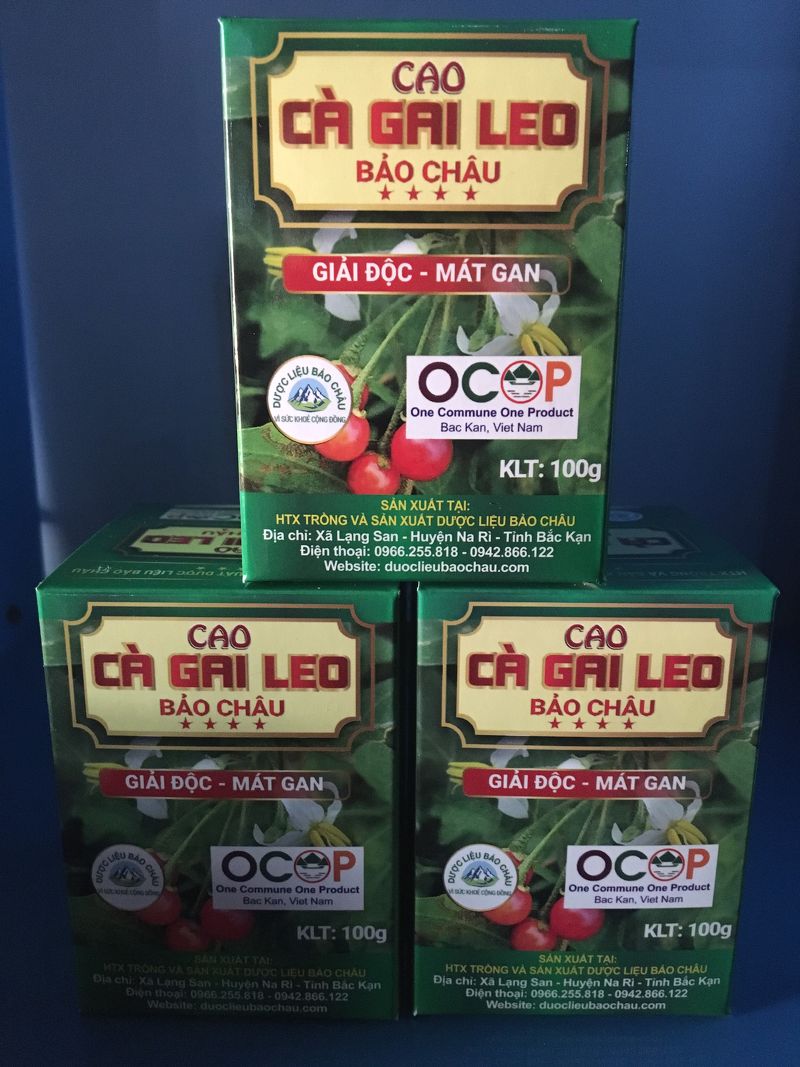 Cao cà gai leo - 100 g