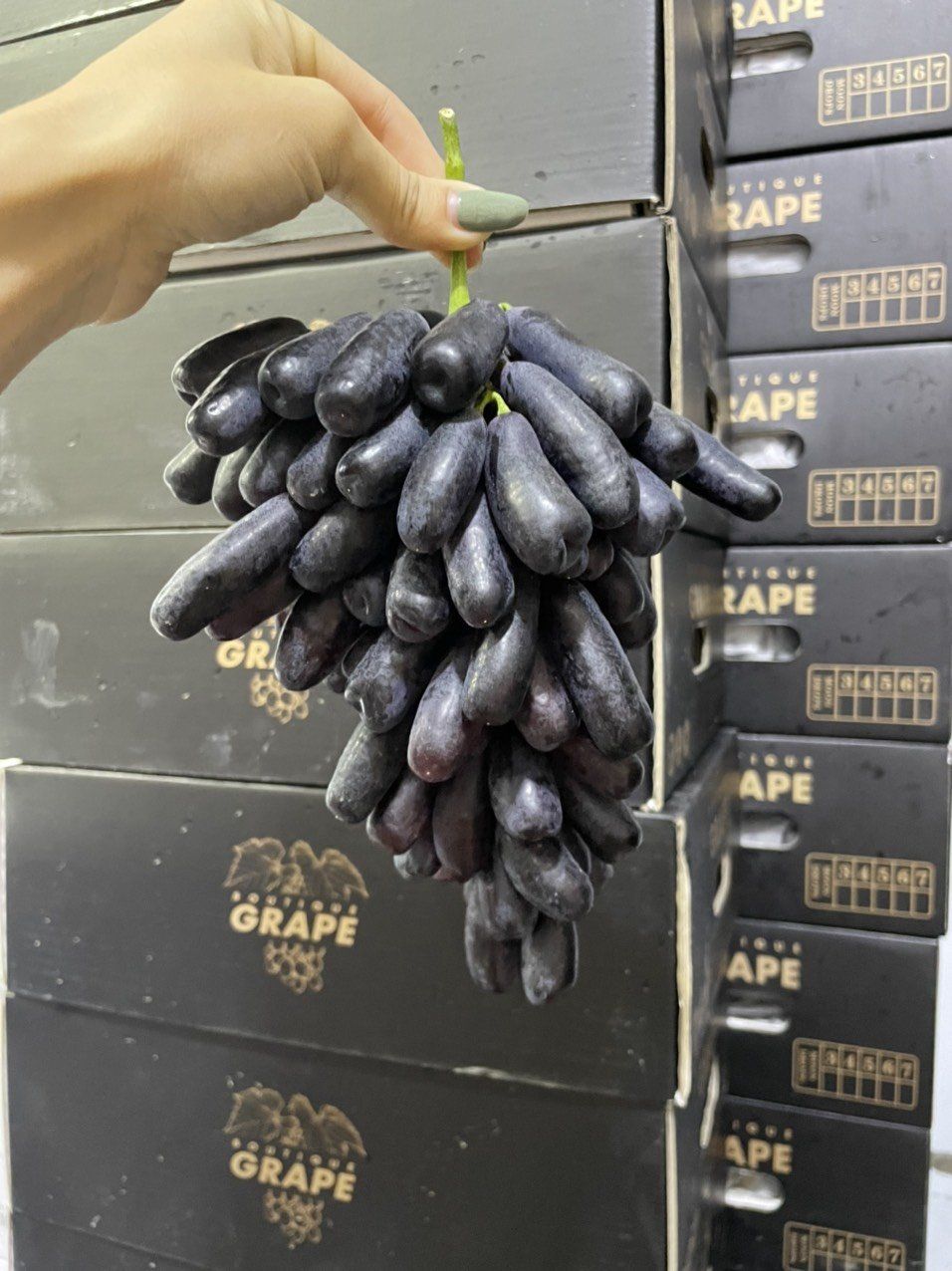 Nho Ngón Grape