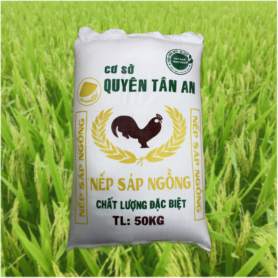 NẾP SÁP NGỖNG