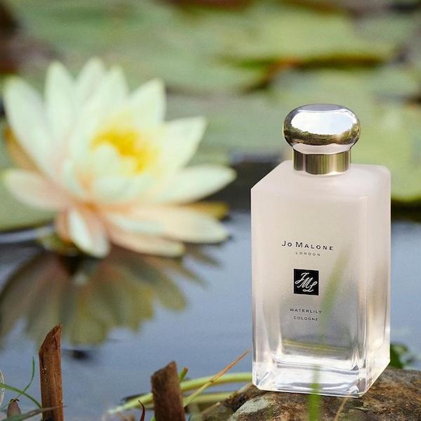 REVIEW Nước hoa Jo Malone Waterlily với mùi hương nhẹ nhàng, đầy mê hoặc