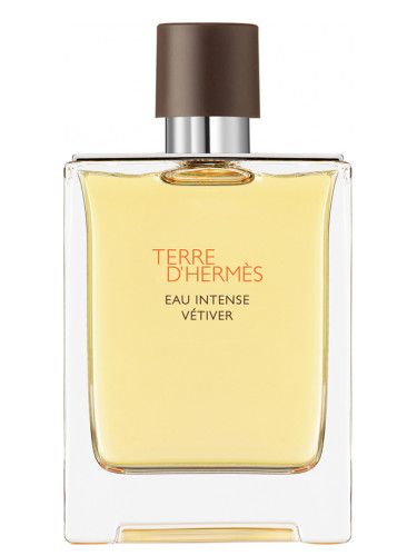 Nước hoa Nam - Hermes Terre Eau Intense Vetiver