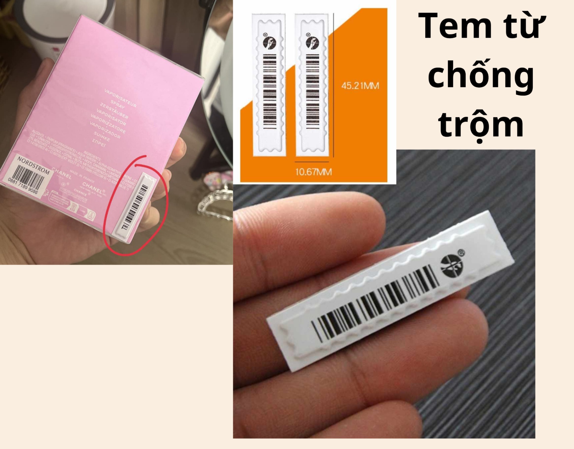 TEM TỪ (50 cái)