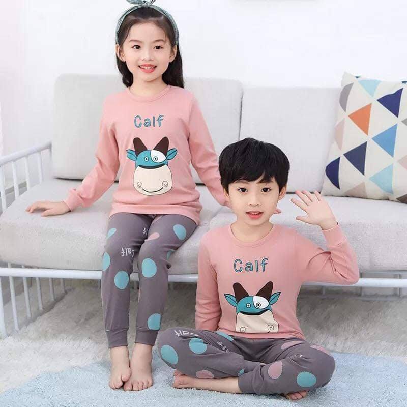 Bộ bò calf D21