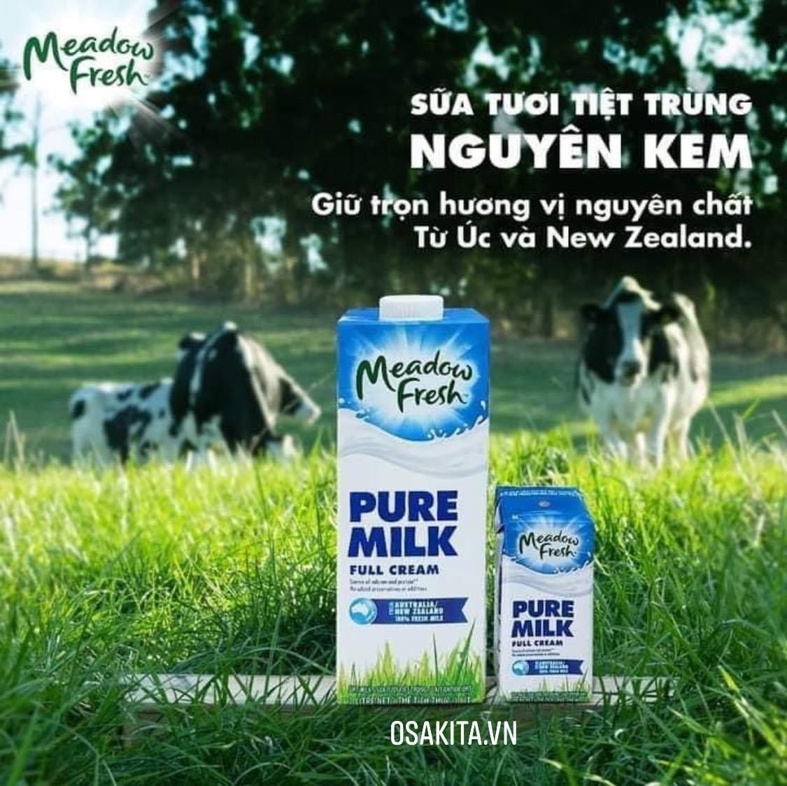 Sữa Tươi Tiệt Trùng Nguyên Kem Meadow Fresh Pure Milk (24hx200ml)-Úc