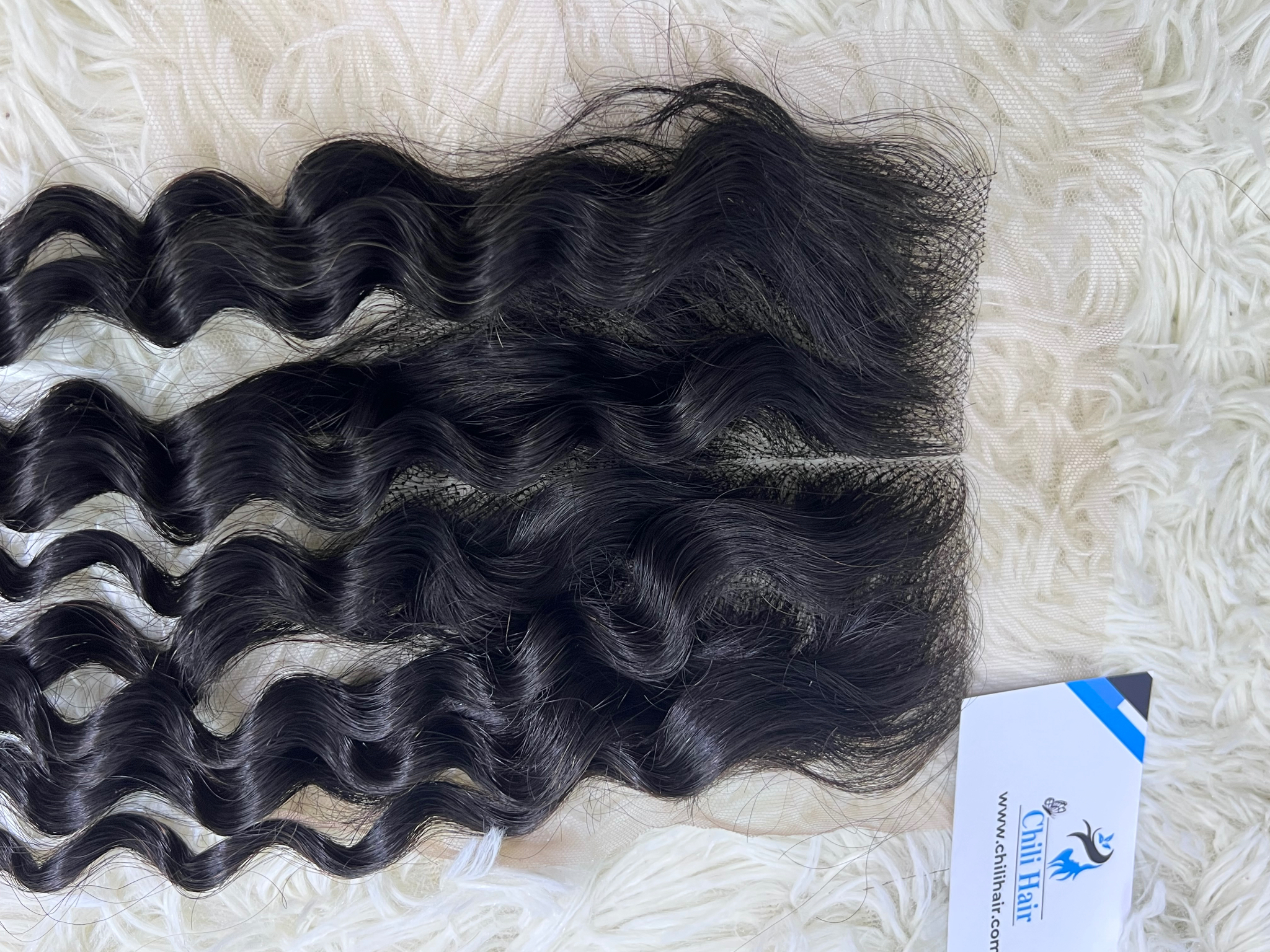 Frontal Culry/Wave