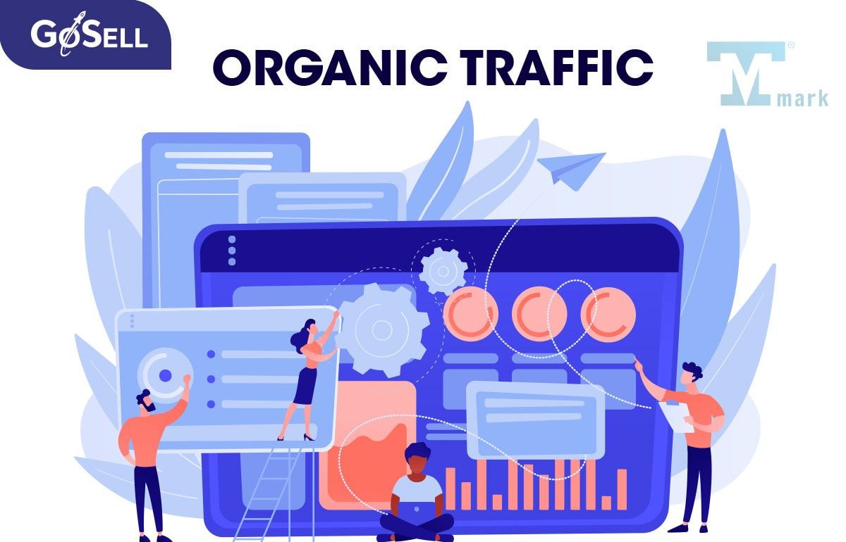 Tăng traffic website hiệu quả với những bí quyết từ chuyên gia