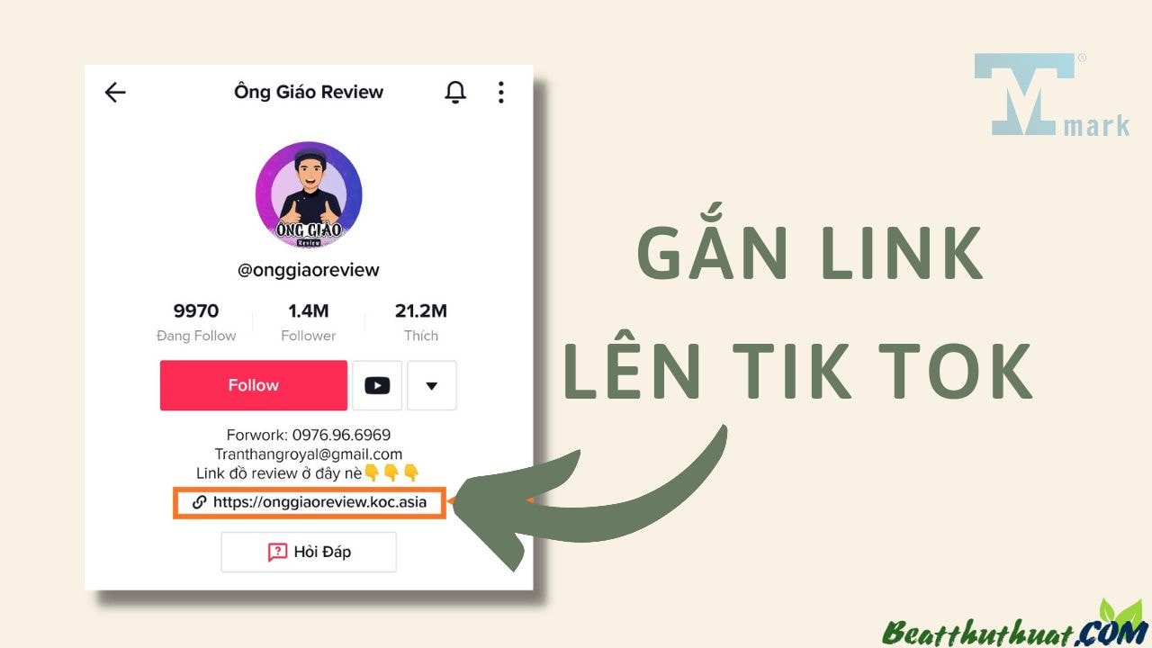Cách gắn link bio trên TikTok hiệu quả nhất