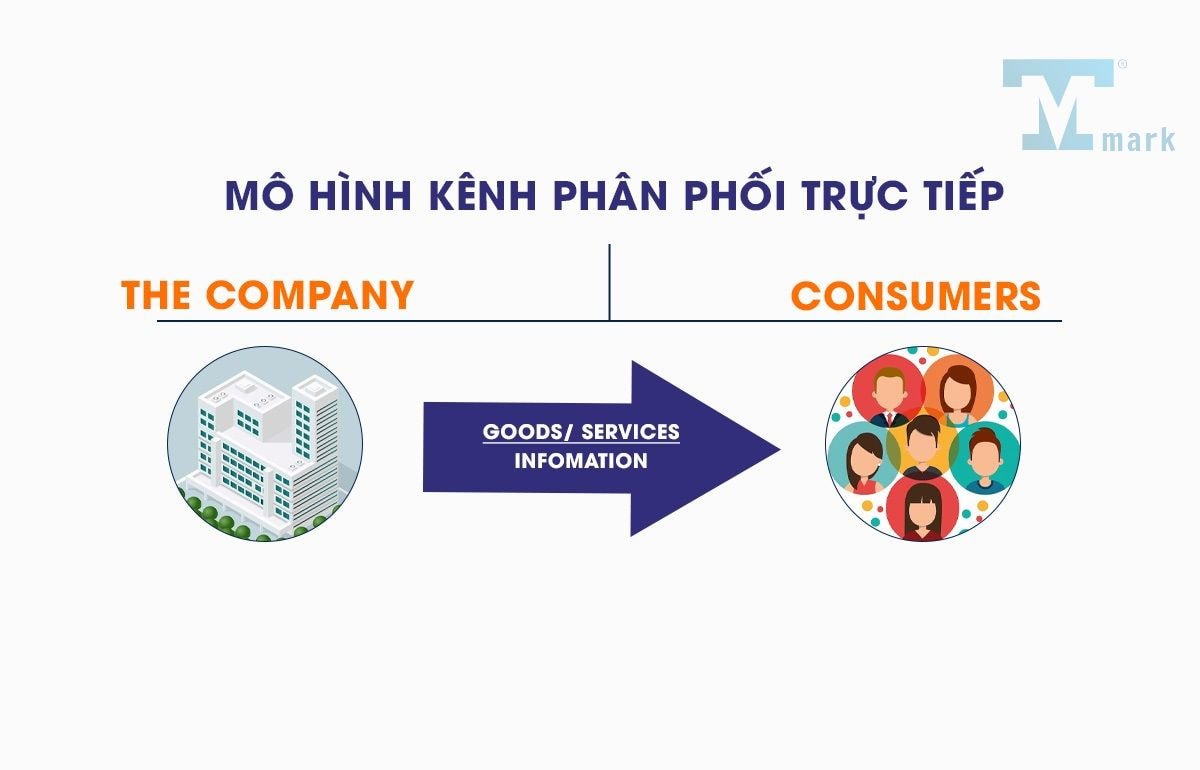 Kênh phân phối là gì? 5 mô hình kênh phân phối phổ biến