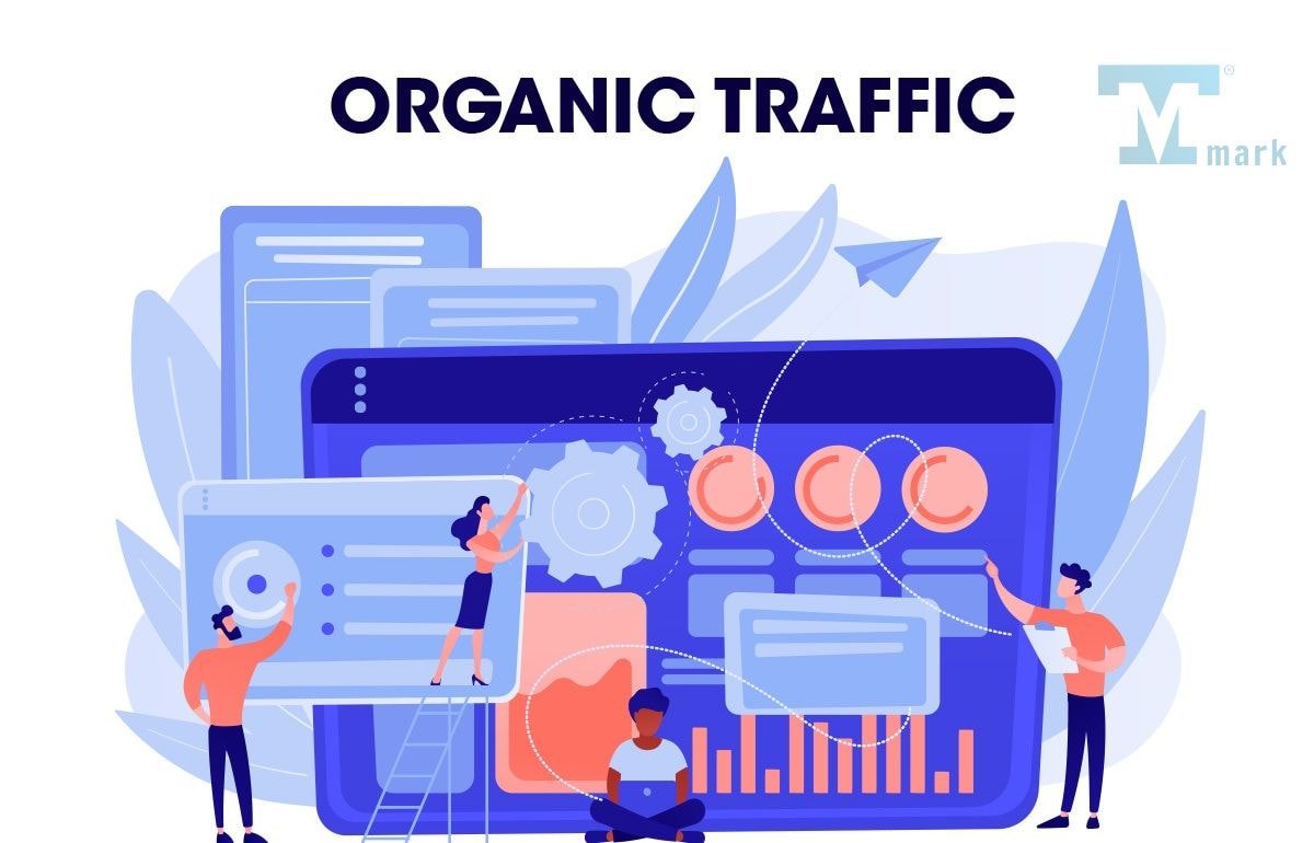 Dịch vụ traffic website: Giải pháp tăng trưởng truy cập hiệu quả