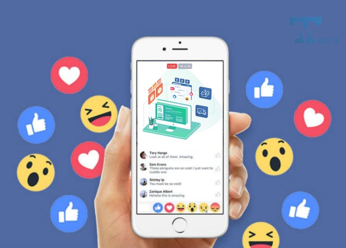 Cách Live Stream Trên Facebook Hiệu Quả Nhất Cho Người Mới Bắt Đầu