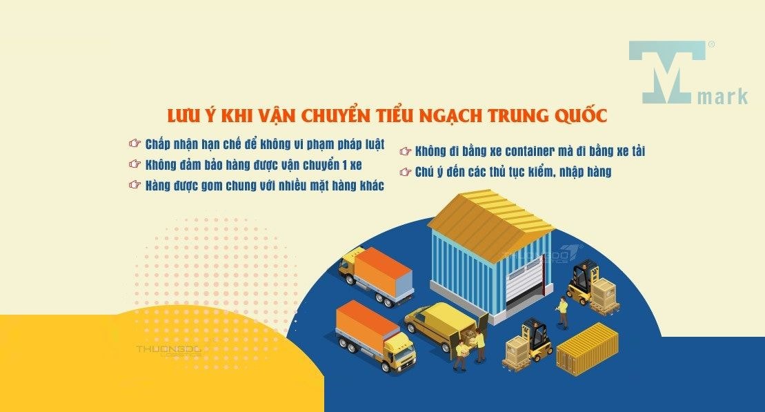 Hàng tiểu ngạch là gì? Thủ tục, rủi ro và lưu ý khi nhập khẩu