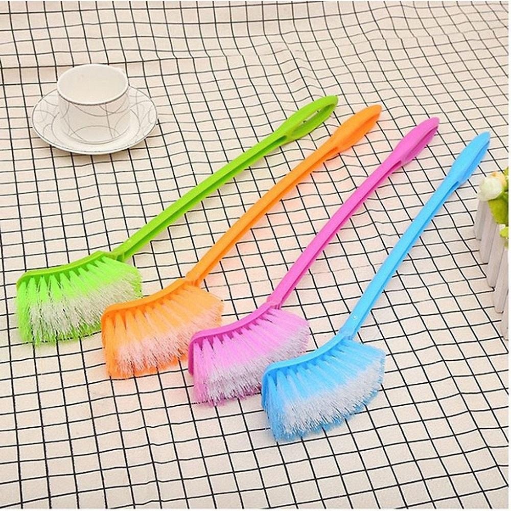 Cây chà bồn cầu là gì? Lợi ích & mẹo vệ sinh nhanh chóng