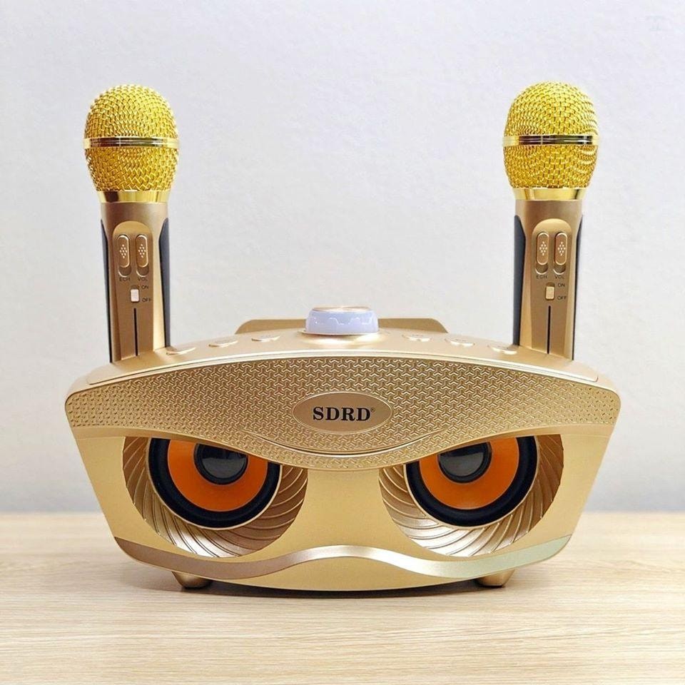 Loa Karaoke Mini - Các thương hiệu phổ biến | Tmark