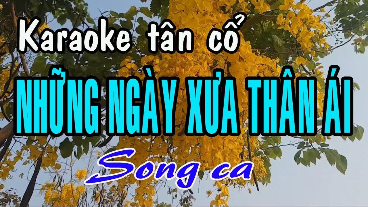 Ca cổ karaoke - Phân tích các loại hình ca cổ hiện nay