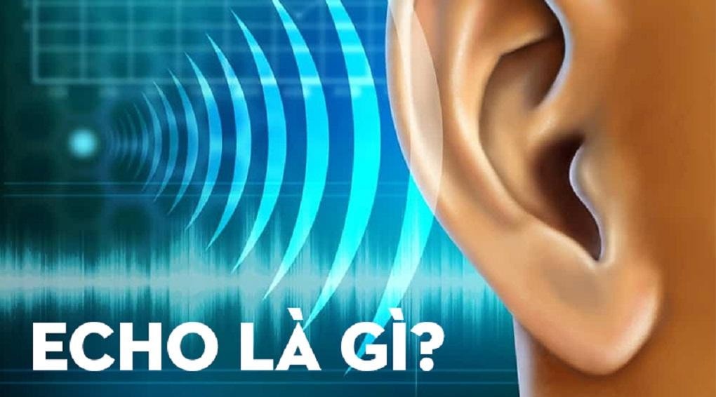 Echo là gì? Tác dụng của Echo trong âm thanh