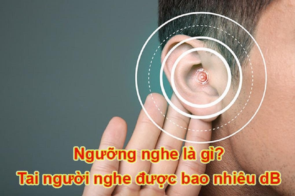 Tai người nghe được âm thanh trong giới hạn nào? - Tìm hiểu về ngưỡng nghe và cách bảo vệ ta