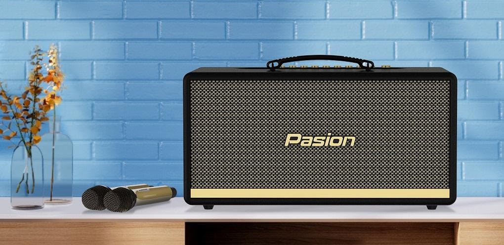 Loa Pasion - Thương hiệu nổi tiếng của Việt Nam