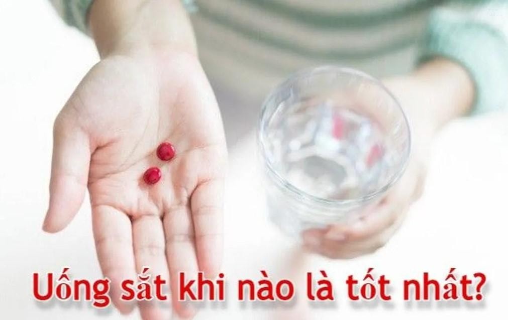 Hấp Thu Sắt: Tầm Quan Trọng và Cách Cơ Thể Hấp Thu Sắt | Tmark