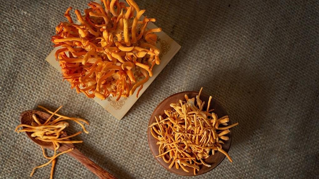 Đông trùng hạ thảo (Cordyceps) - Công dụng và lợi ích cho sức khỏe