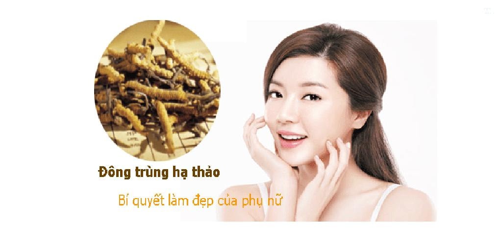Phụ nữ uống đông trùng hạ thảo có tốt không?