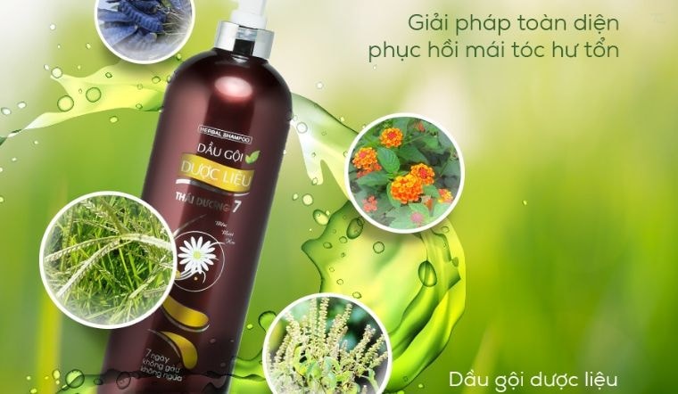 Giải pháp tối ưu cho tóc gàu - Tìm hiểu về dầu gội trị gàu