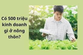 500 Triệu Đồng Nên Kinh Doanh Gì? 7 Ý Tưởng Kinh Doanh Hiệu Quả