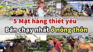 Kinh Doanh Đồ Gia Dụng Ở Nông Thôn - Cơ Hội Vàng Chưa Được Khai Thác Triệt Để