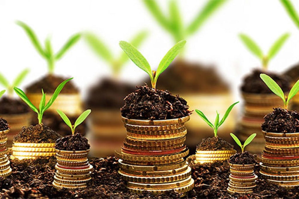 Có 500 triệu nên đầu tư vào đâu? Ý tưởng đầu tư sinh lời hiệu quả trong năm 2025