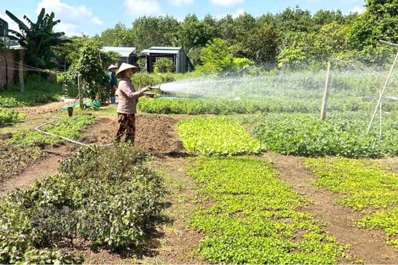 Đất Rộng Kinh Doanh Gì? Các Ý Tưởng Sinh Lời Hiệu Quả Nhất Hiện Nay