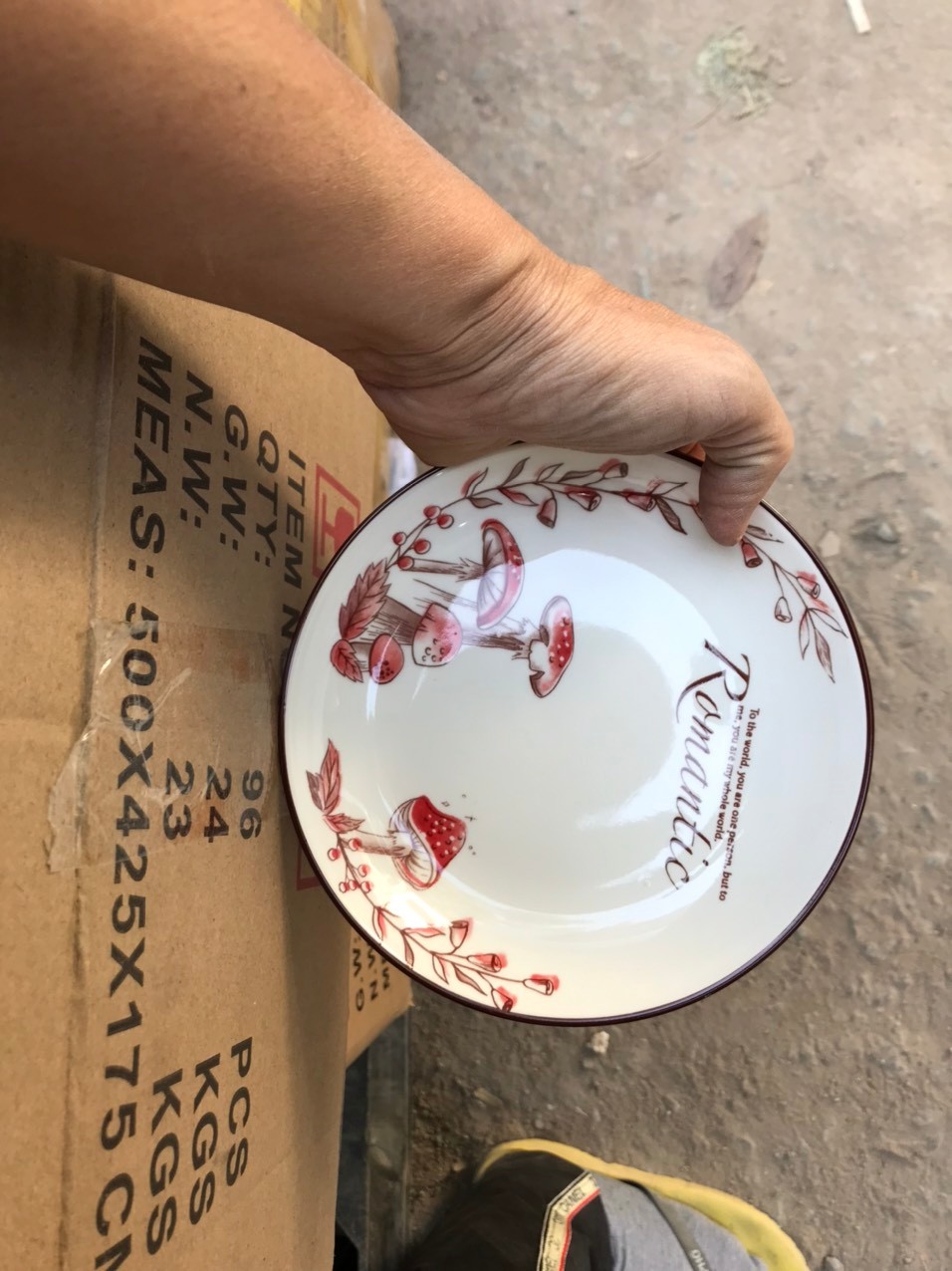 Đĩa 6 ảo nấm GL20 (Kiện 96 cái)