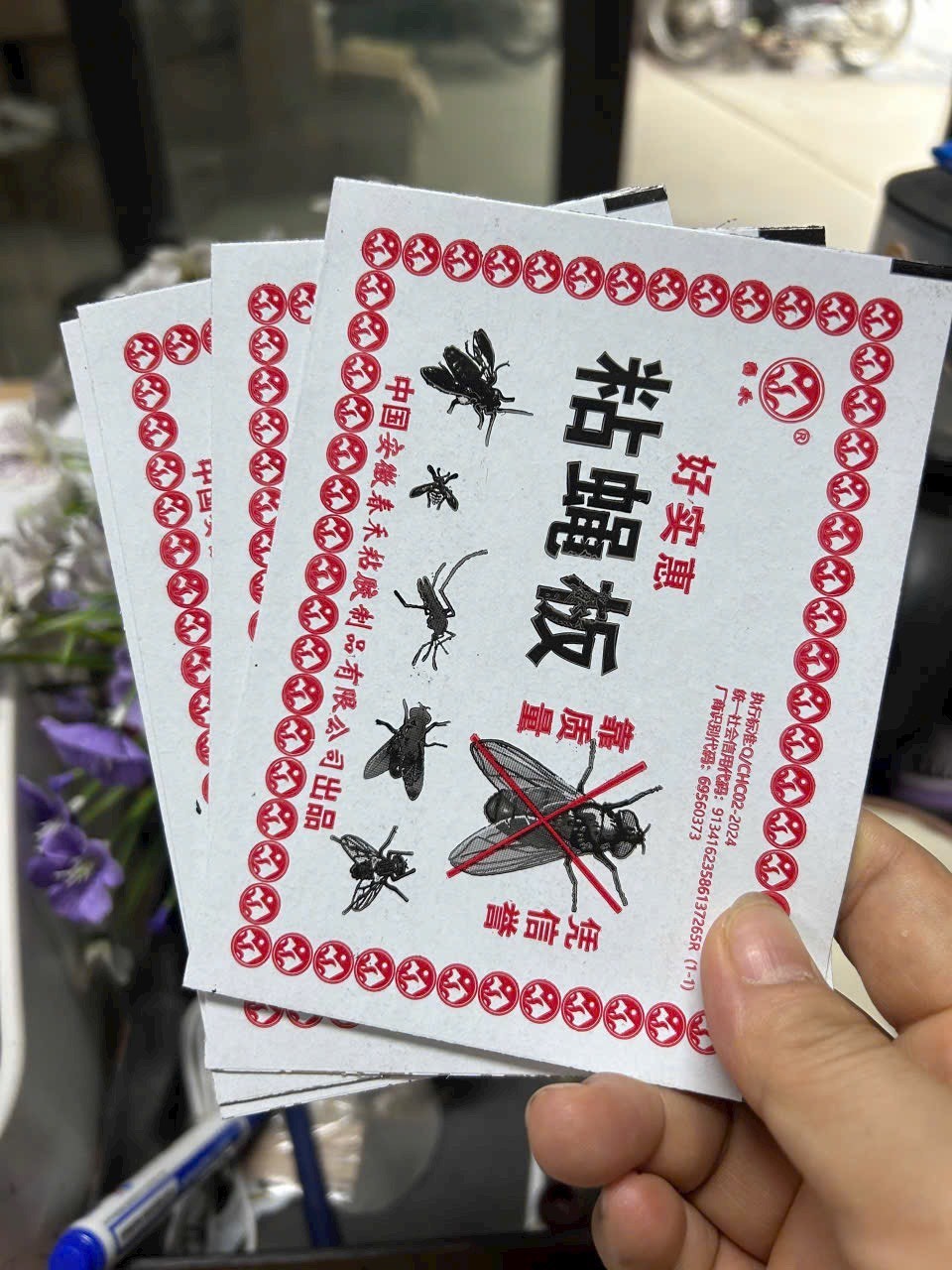 Set 100 miếng dính ruồi (kiện 10 set)