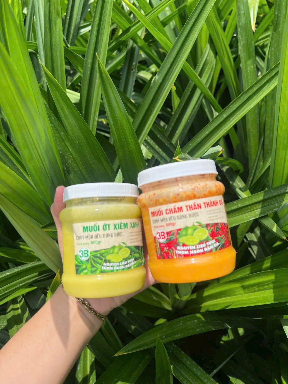 Muối chấm thần thánh (kiện 100 hũ)