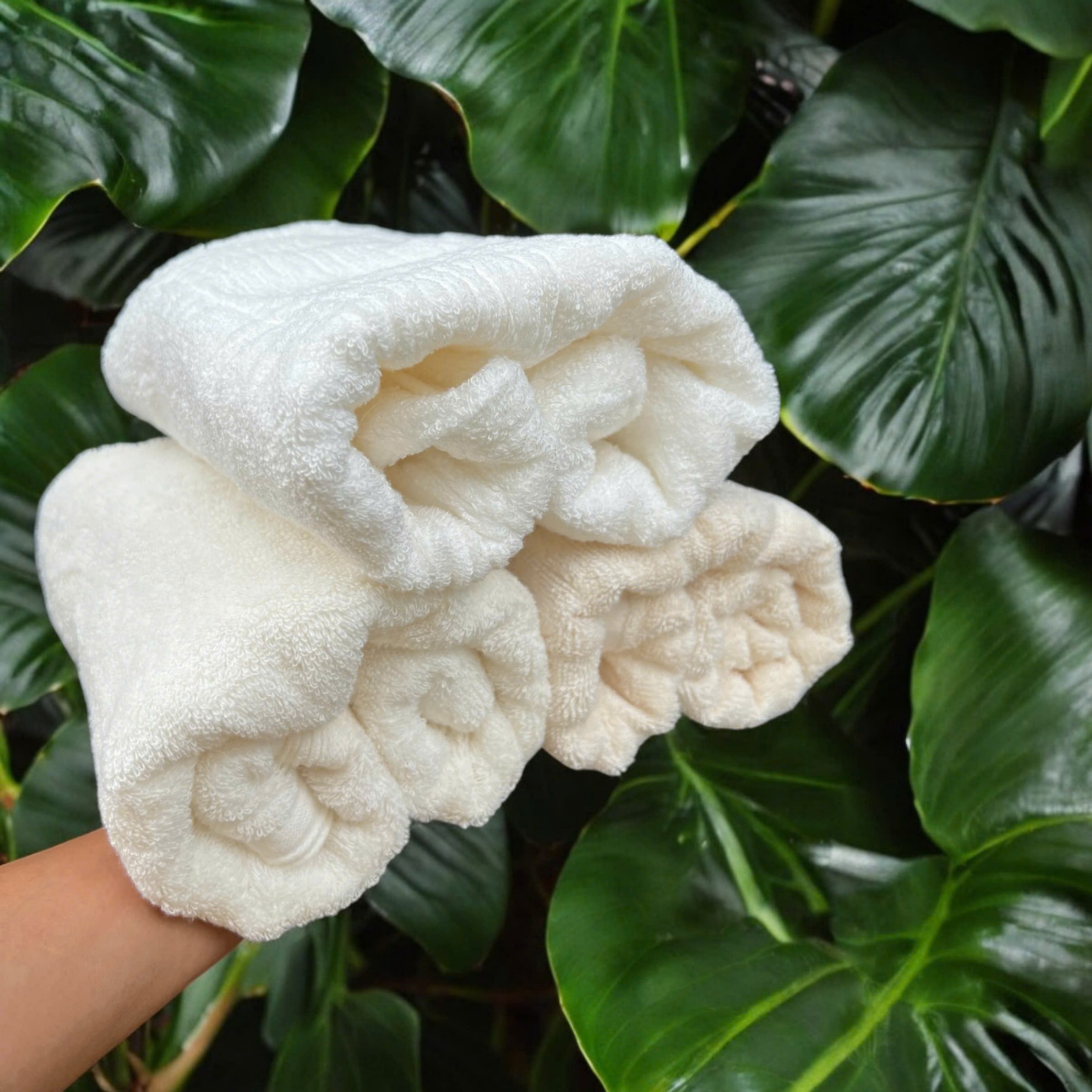 Khăn tắm (Kiện 200 cái)