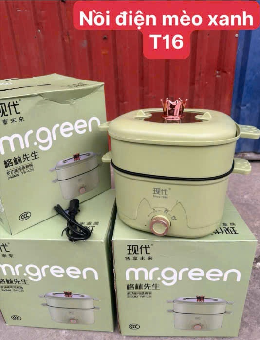 Xửng hấp điện xanh Mr Green (Kiện 16 cái)