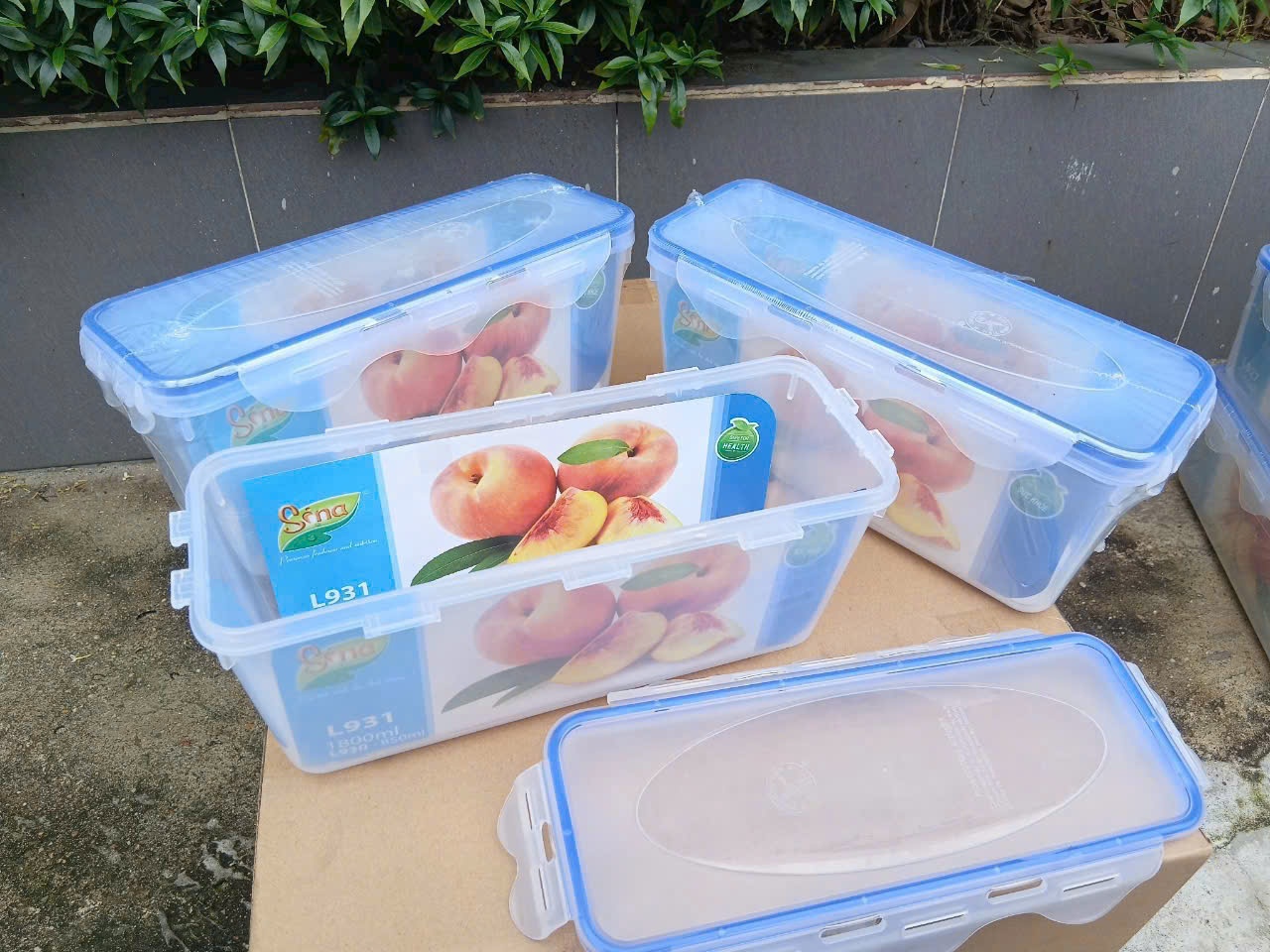 Hộp nhựa chữ nhật Sina L931 (Kiện 50 cái)