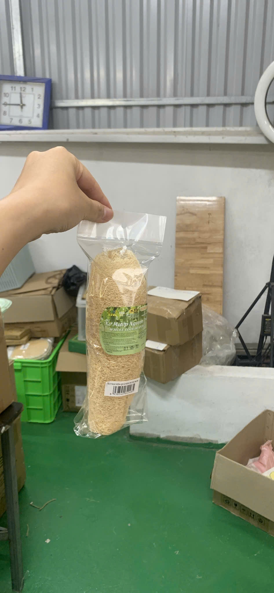 XƠ NGUYÊN QUẢ SIZE DƯỚI 20CM 2