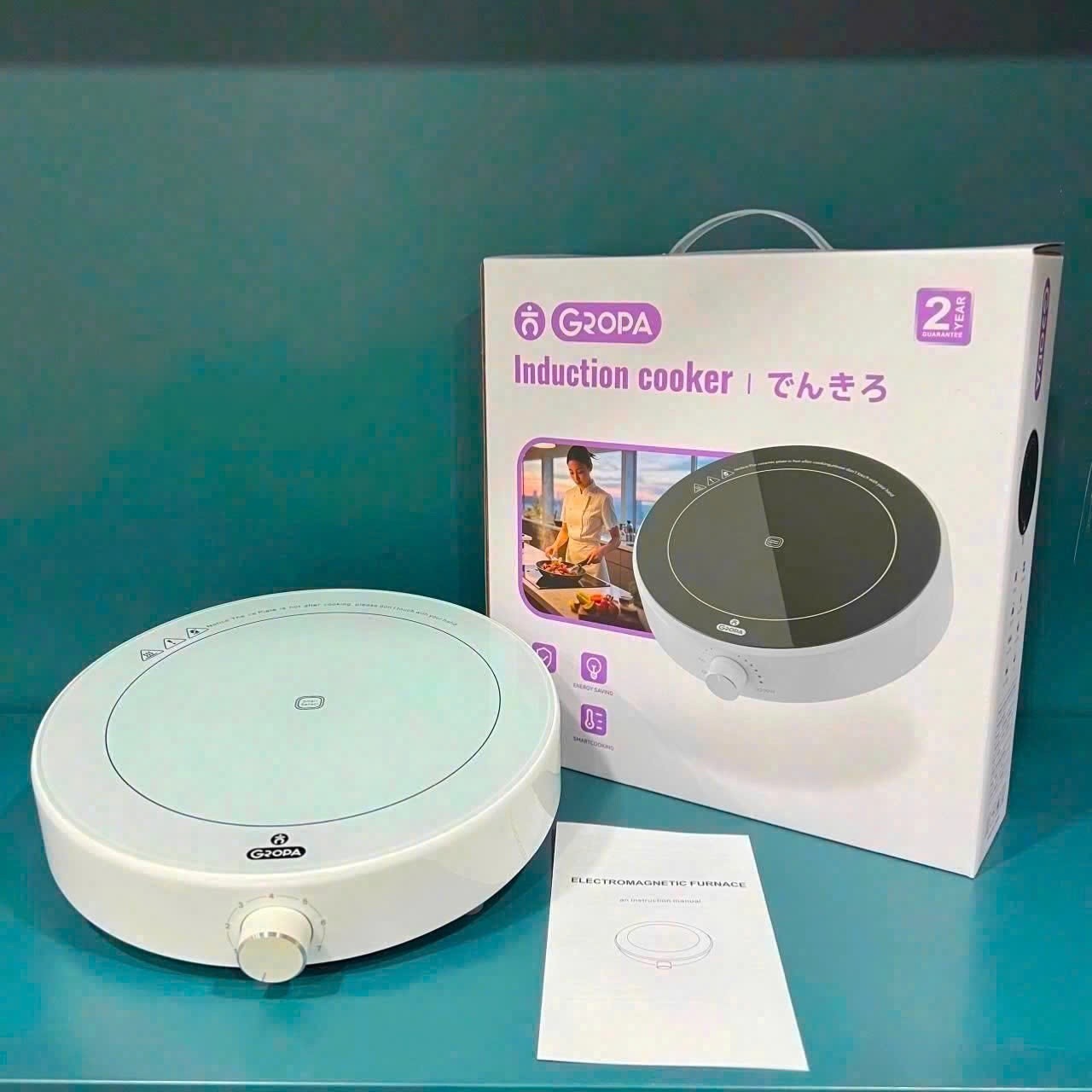 Bếp điện từ loại di động Gropa (kiện 10c) 2