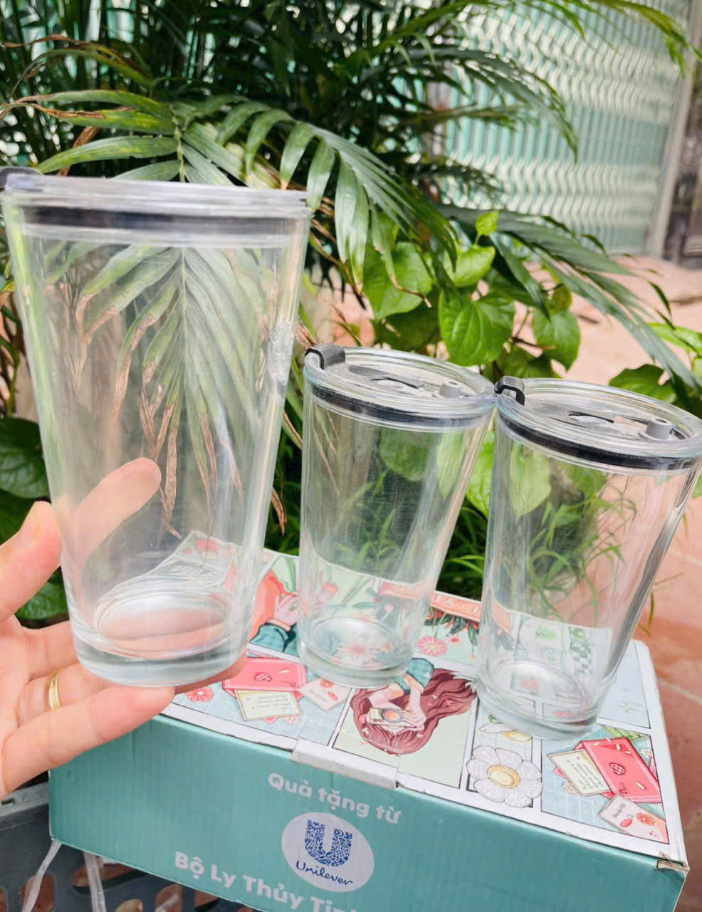 Bộ 3 li thuỷ tinh không kèm ống hút ( kiện 16 bộ )