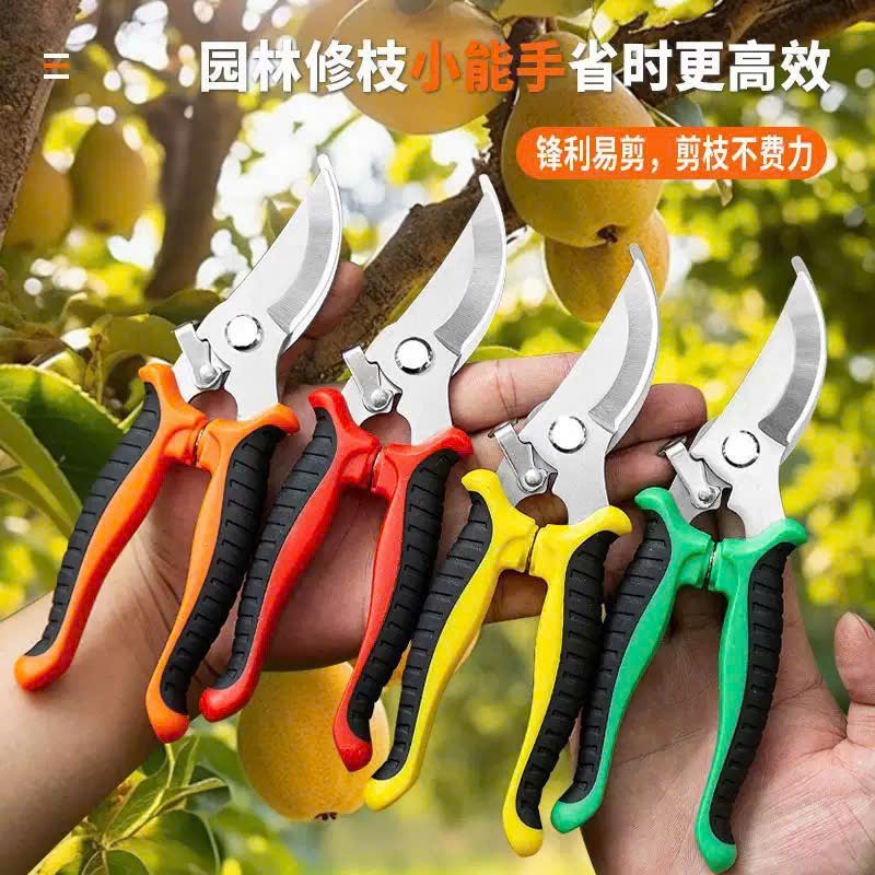 Kéo cắt cành PR001 (Kiện 250 cái) 2